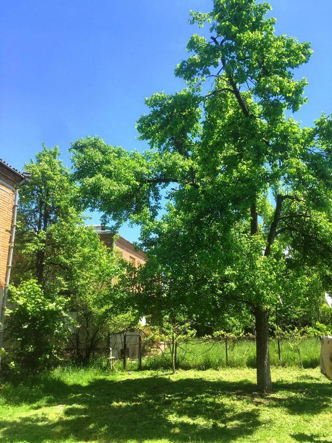 AMBROsador Ambrolauri Exterior foto